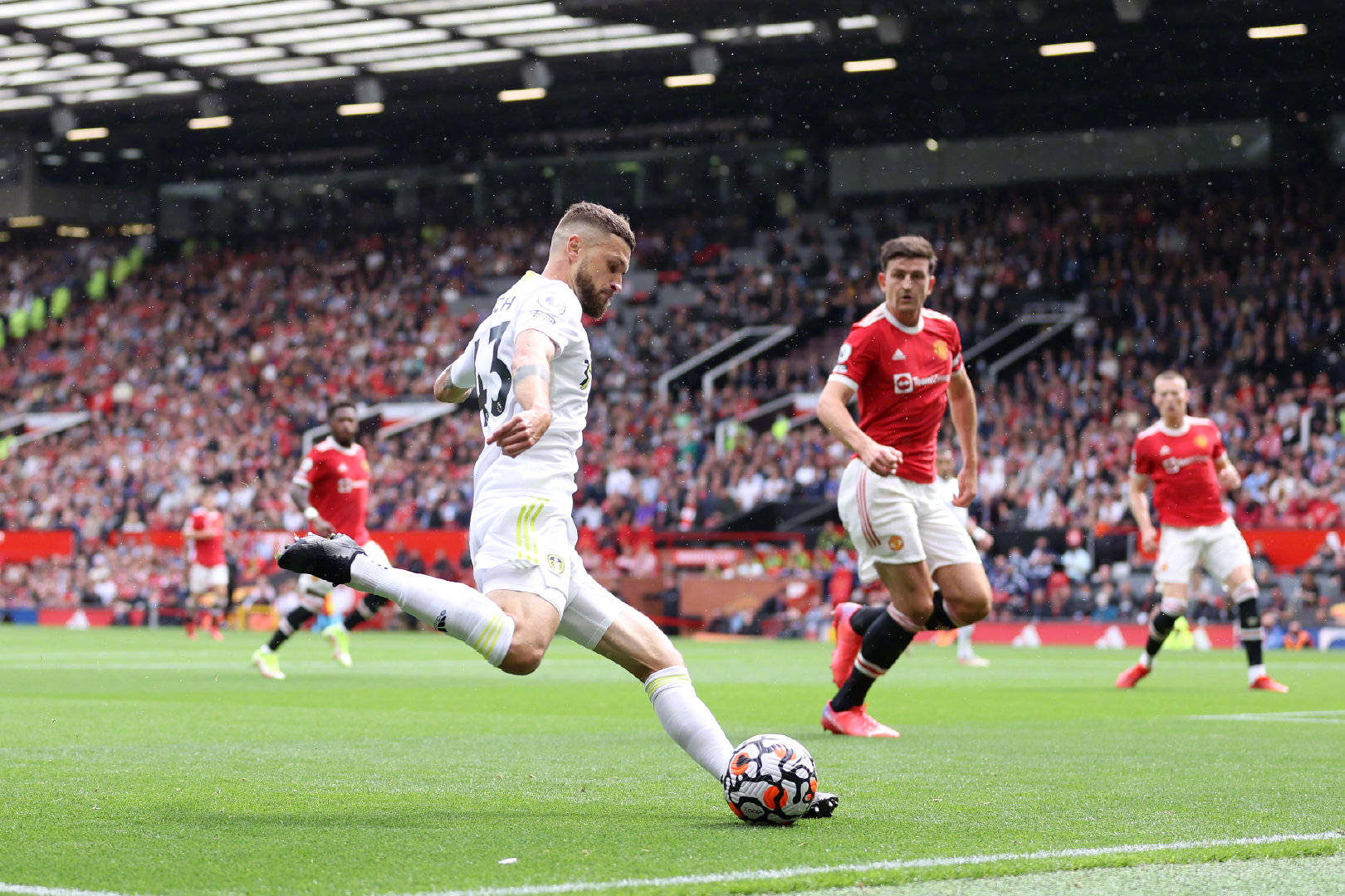 场的领军者 场的领军者